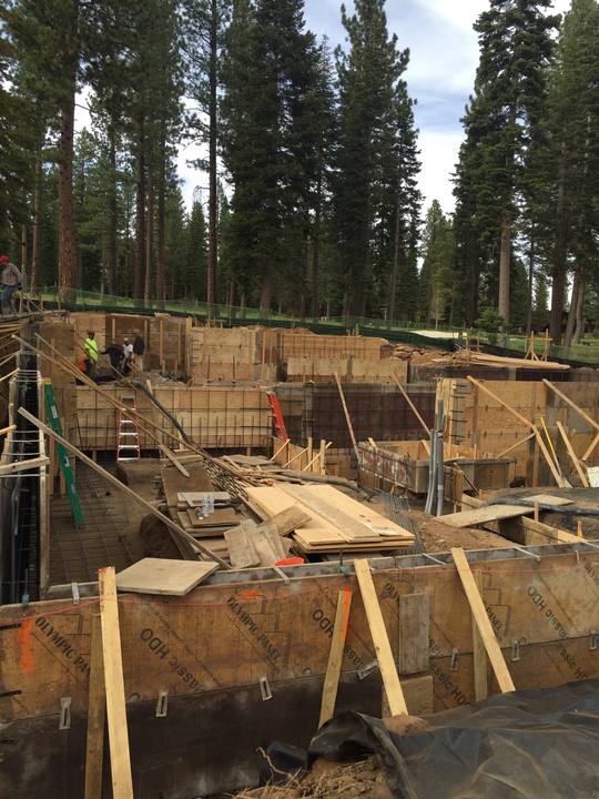 Plywood wall forms braced up for a deep foundation on a pine-shaded lot, rebar tied and standing above the forms